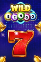 Wild Bingo